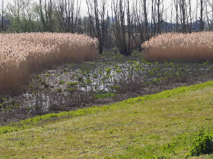 Kalkense Meersen (België)